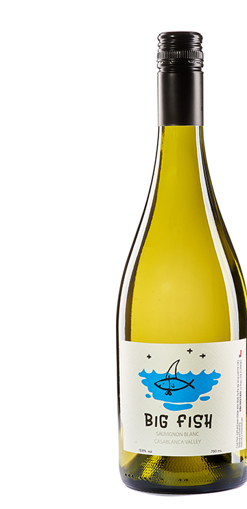 Botella Sauvignon Blanc Big Fish, Tinta Tinto